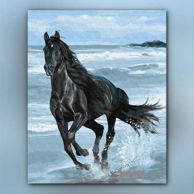 أدوات رسم لوحة الحصان الأسود