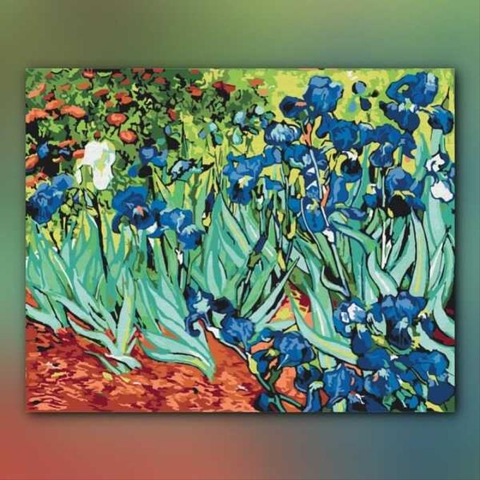 أدوات رسم لوحة القزحيات