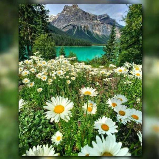 أدوات رسم لوحة الطبيعة العذراء