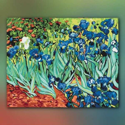 أدوات رسم لوحة القزحيات